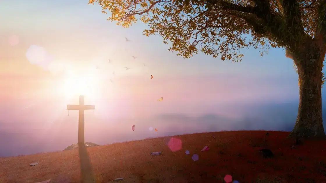 Como funciona o transporte funerário aéreo no Brasil