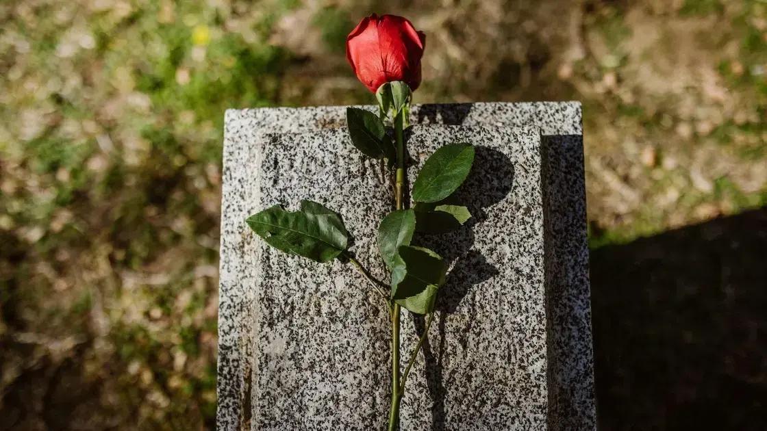  Planos acessíveis para quem ainda não é associado