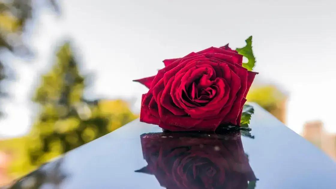  Como escolher a coroa ideal para o perfil da pessoa homenageada