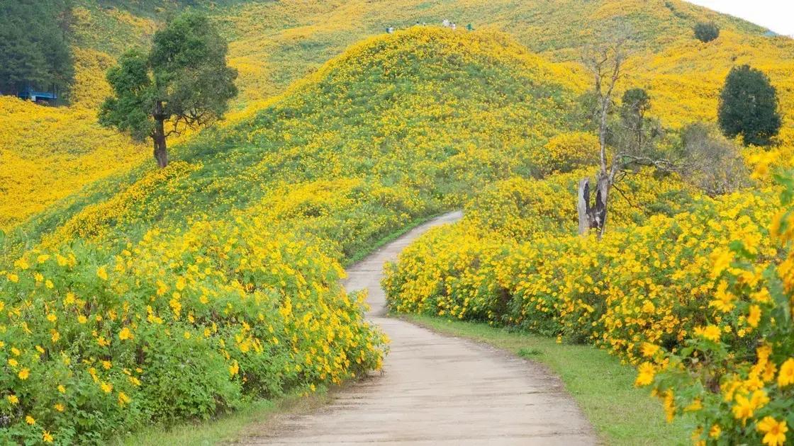 Diferença entre coroas, arranjos e buquês para velório; Flores mais usadas para esse tipo de ocasião; Como encomendar com rapidez e descrição; Significado das cores e estilos de arranjo; Entrega personalizada diretamente ao local do velório