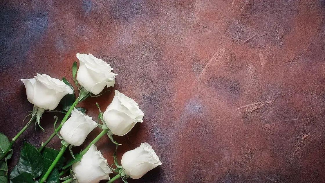 Como acionar o serviço funerário Como acionar o serviço funerário